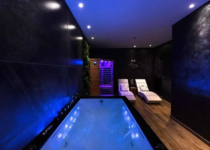 Le & Cocon - Jacuzzi - Sauna - Clim - Melina&alfred Apartment Agen